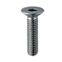 Countersunk head screws